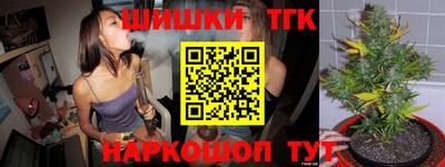 не бодяженный Гатчина