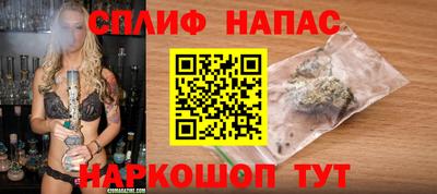 не бодяженный Гатчина