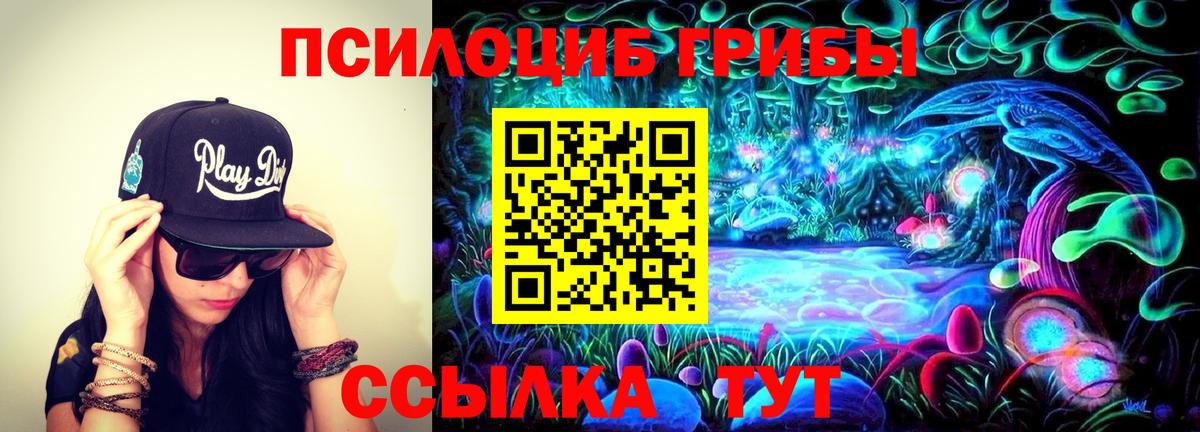 Галлюциногенные грибы Cubensis  Псилоцибиновые грибы мухоморы  Вход с VPN  Щёлково 